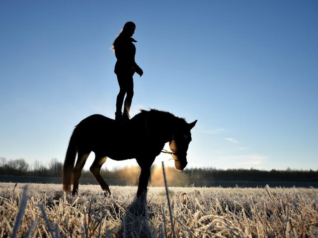 Can You Get a DUI Riding a Horse? Understanding UK Laws