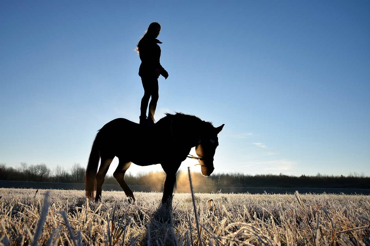 can you get a dui riding a horse? understanding UK laws about horse ownership