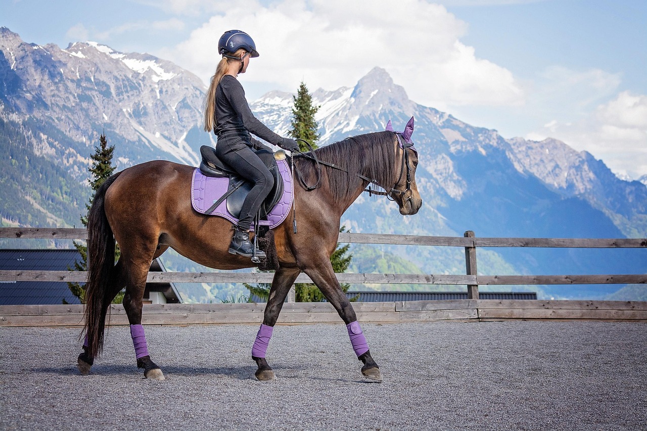 Essential Horse Riding Clothing & Gear: Boots, Hats, Helmets, and More