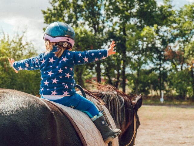 Understanding the 20% Rule in Horseback Riding