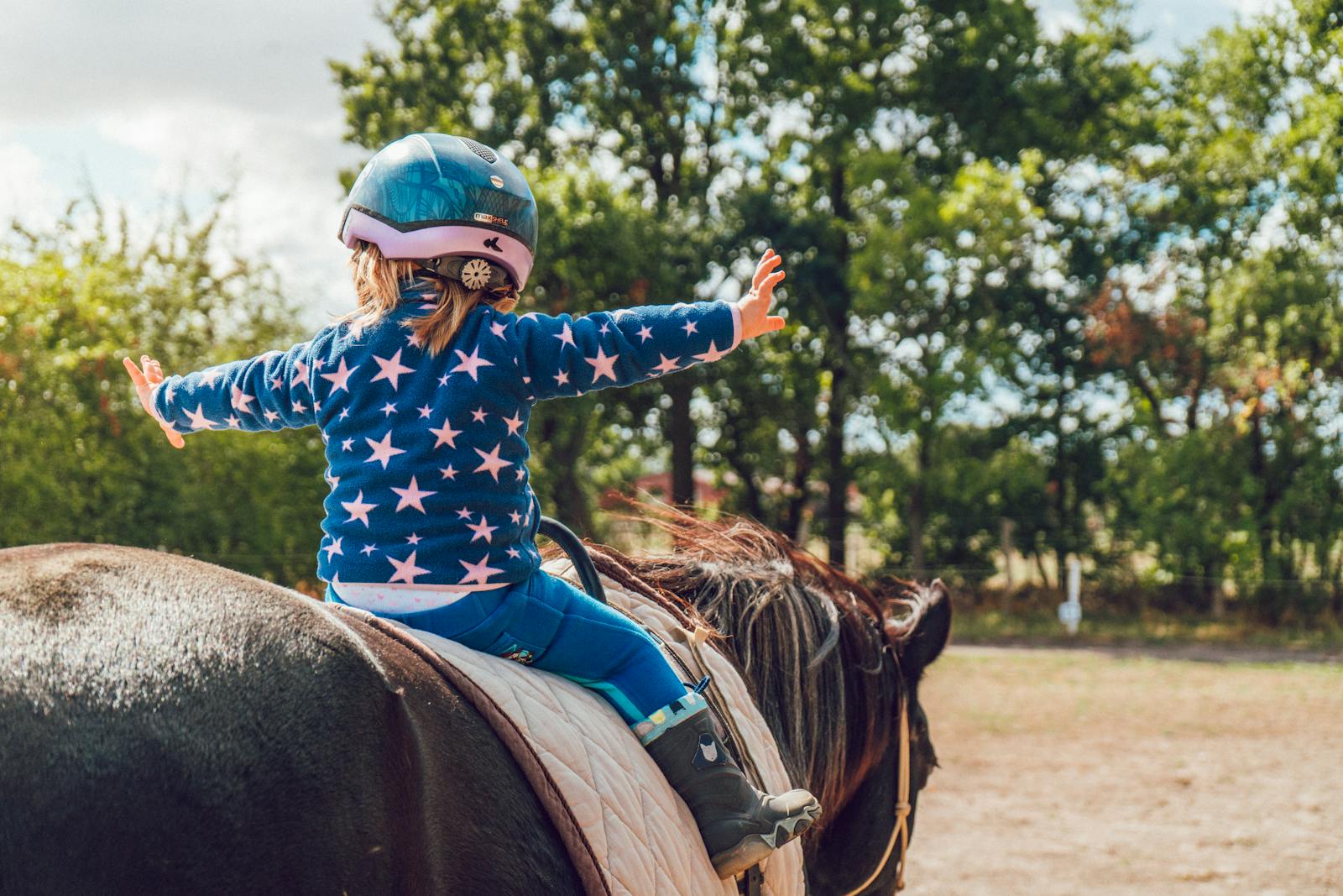 What is the 20% rule in horseback riding? horse riding advice