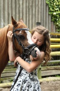 pony, girl, horse, child, nature, animal, hobby, cute, coupling, horse riding, summer, pony riding, love for animals