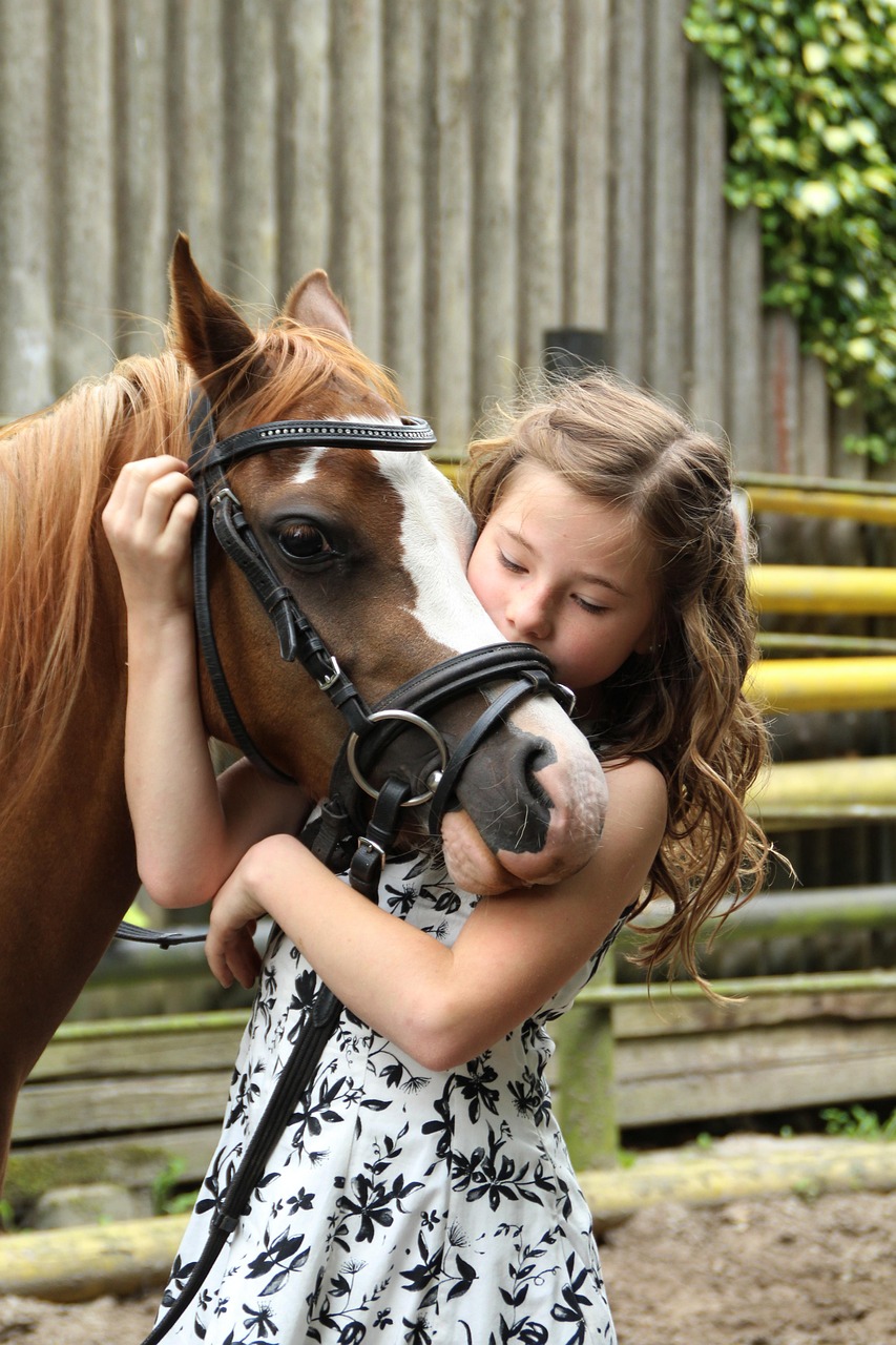 pony, girl, horse, child, nature, animal, hobby, cute, coupling, horse riding, summer, pony riding, love for animals