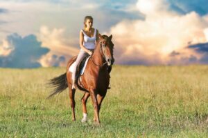 buying your first horse, beginners guide to buying your first horse